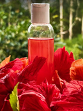 Hibiscus Oil