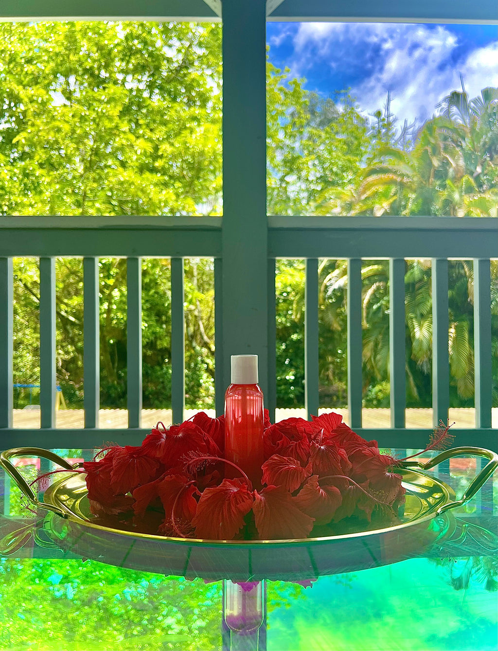 Hibiscus Oil